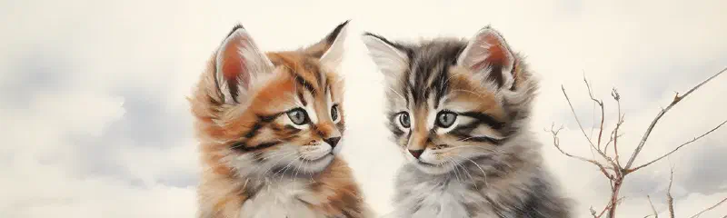 Community's Heartstrings Tugged! Utah's Celebrity Feline Duo Need a Home!