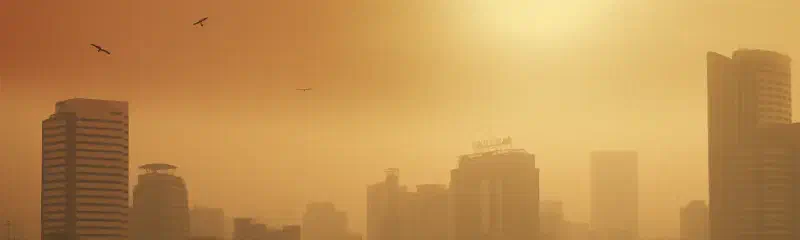 Oxygen-Starved Bureaucrats Ordered to Stay in Pajamas! Government Goes Eco-Friendly?
