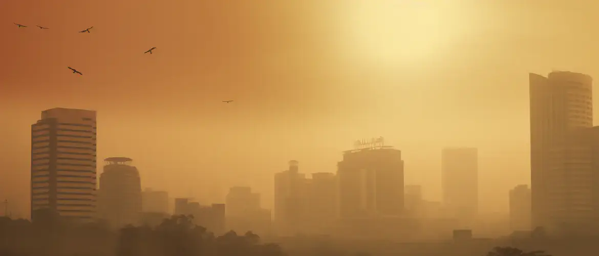 Oxygen-Starved Bureaucrats Ordered to Stay in Pajamas! Government Goes Eco-Friendly?