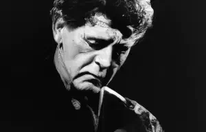 Legendary Musician Passes Away: Shockwaves Felt Across the Entertainment World