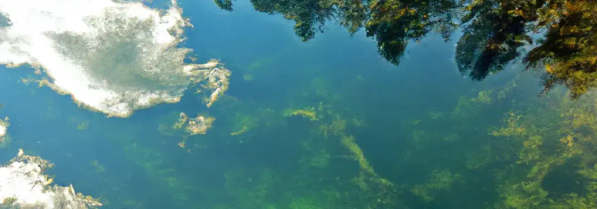 Your Next Swim Could Be a Dance with Death! The Lurking Peril in Your Local Waters!