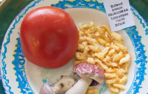 This Ordinary Meal Turned Deadly in Australia! Find Out the Shocking Truth Behind the Poison Mushroom Scandal